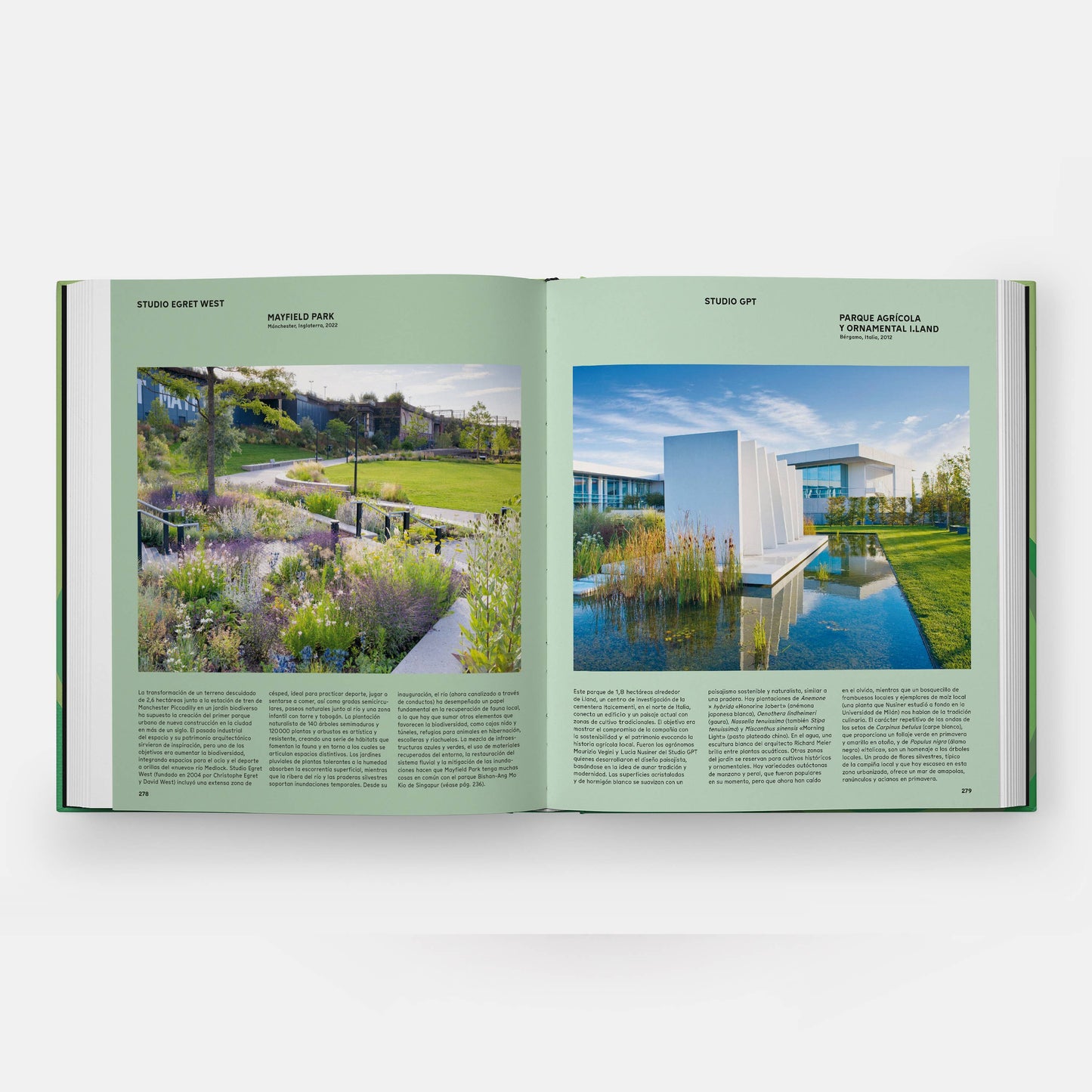 The Contemporary Garden