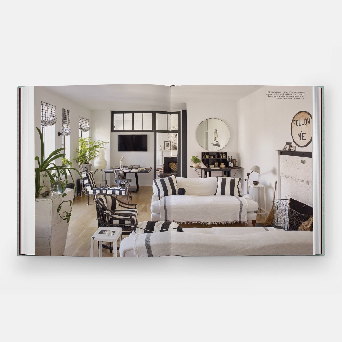 Everybody Loves Stripes: Decorating Between the Lines Book