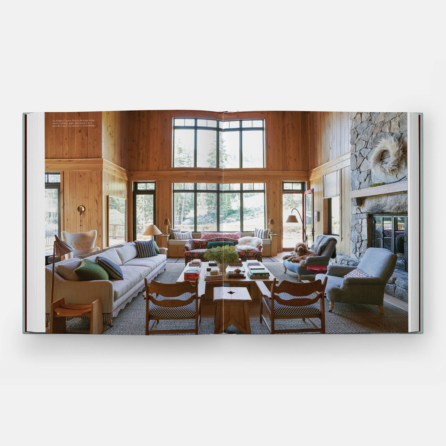 Everybody Loves Stripes: Decorating Between the Lines Book