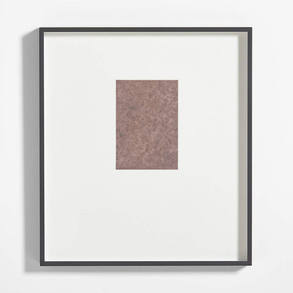 Rain Lumen Print Art- Mariana Noreña G