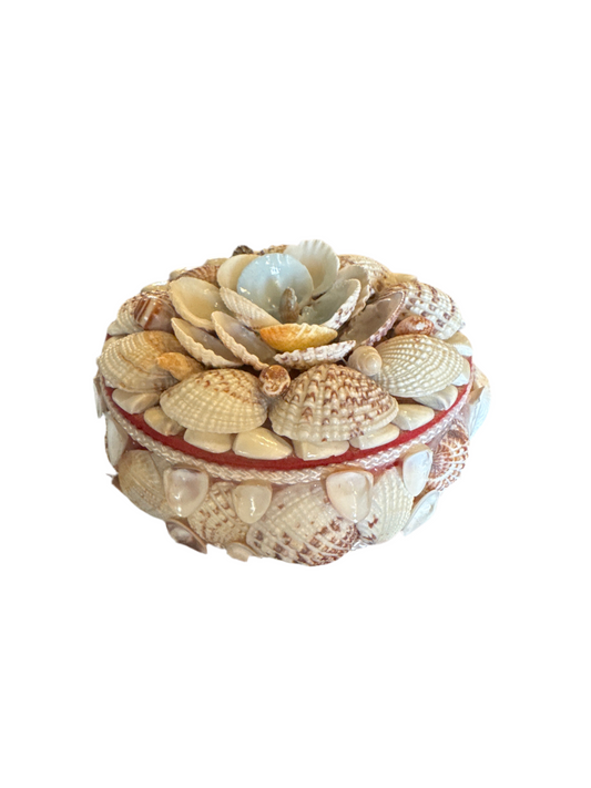 Seashell Box