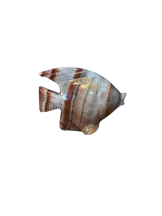 Onyx fish